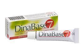 Dinabase 7